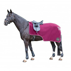 Exercise sheet - dark red Exercise sheet - dark red