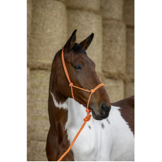 Norton striķapau&scaron;i. izmērs F