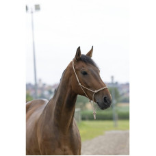 Norton striķapau&scaron;i. "First" izmērs F, bē&scaron;i