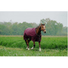 EQUITHÈME - TYREX 1200D - Turnout Rug- Burgundy EQUITHÈME - TYREX 1200D - Turnout Rug- Burgundy