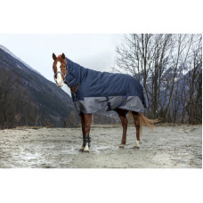 EQUITHÈME “TYREX 600 D” COMBO TURNOUT RUG EQUITHÈME “TYREX 600 D” COMBO TURNOUT RUG