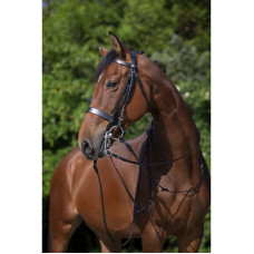 RIDING WORLD- WEYMOUTH -BRIDLE ,black RIDING WORLD- WEYMOUTH -BRIDLE ,black